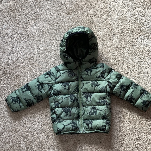 The Children's Place Other - The Children's Place Gray Dino Print Jacket